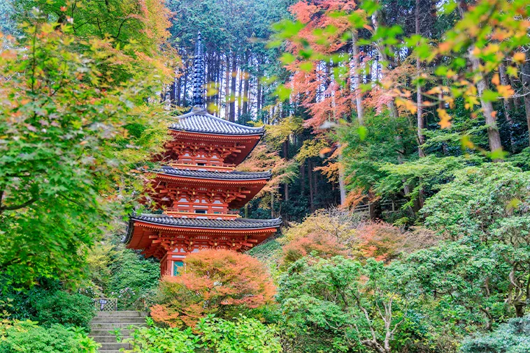 岩船寺_紅葉