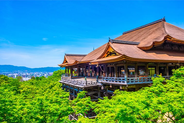 新緑の清水寺