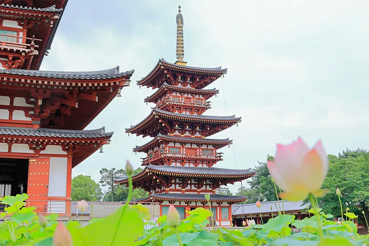 東塔修復後の世界遺産薬師寺