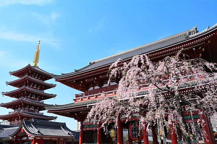 浅草寺_宝蔵門と五重塔