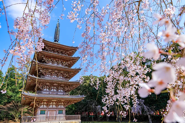 醍醐寺