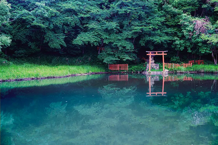 八大龍王弁財天-雨の龍神池