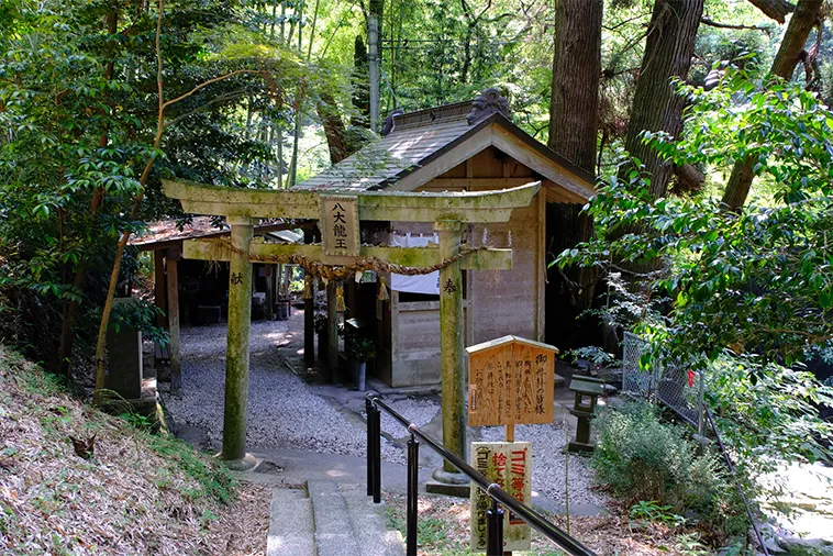 神龍八大龍王神社