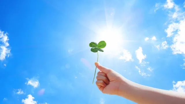 四葉のクローバー