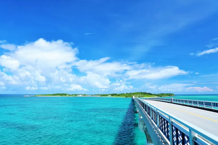 夏の海